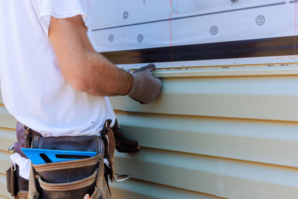 Affordable Emergency Siding Repair solutions in Edinburg, VA